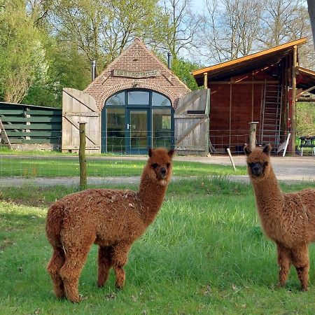 Holiday Home Achterbos Sint-Oedenrode エクステリア 写真