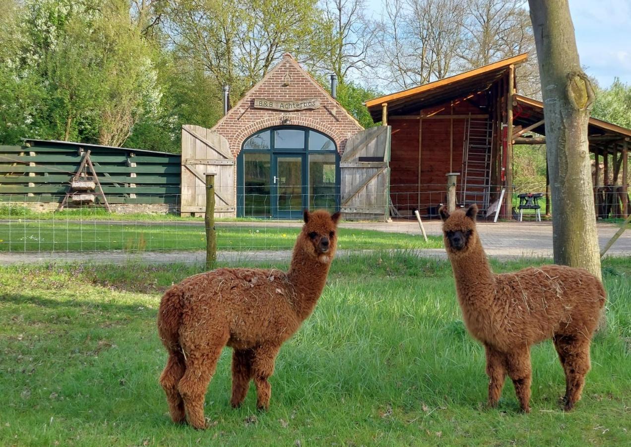 Holiday Home Achterbos Sint-Oedenrode エクステリア 写真